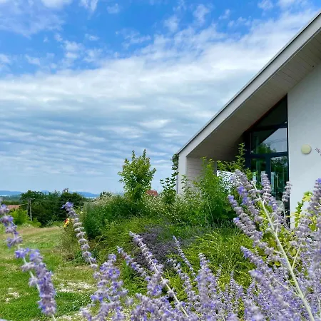 Wine & Space At Balaton