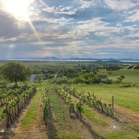 شقة Wine & Space At Balaton بالاتوليلّي
