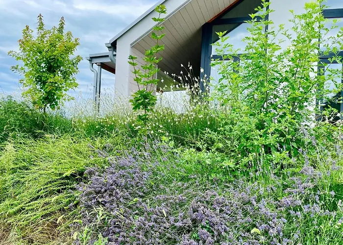 Wine & Space At Balaton Appartement