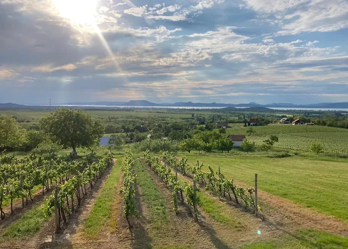 Appartement Wine & Space At Balaton Balatonlelle